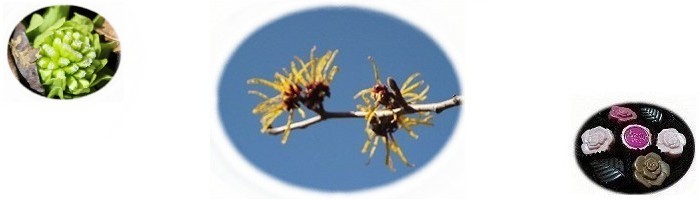 �G�߂̃��b�Z�[�W�@�` �@���ʁX�I �`