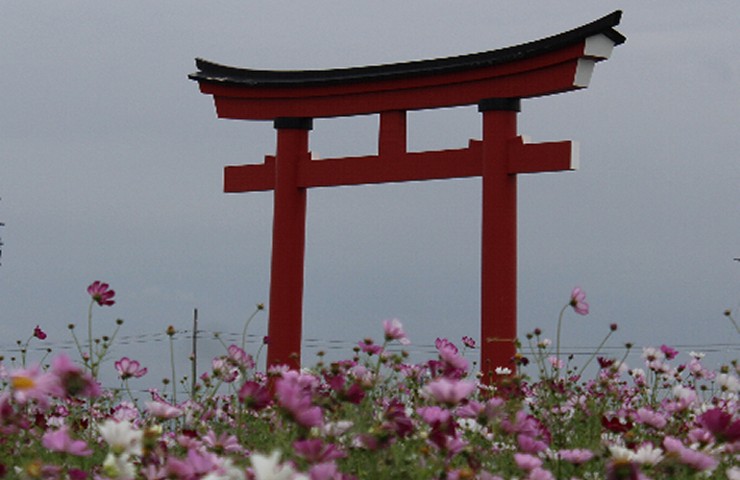 小泉稲荷 大鳥居